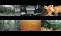 Thumbnail of LoveanimalsMakeanimalssafe