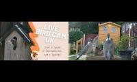 Thumbnail of LoveanimalsMakeanimalssafe