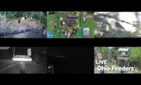 Thumbnail of LoveanimalsMakeanimalssafe