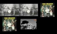 The Shaggs original video