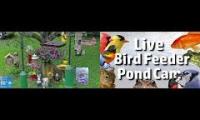 Thumbnail of LoveanimalsMakeanimalssafe