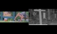 birdfeederbirdnestinglivestream