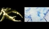 Thumbnail of mashup1 it 476554377555
