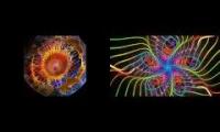 Eyes of God Electric Sheep