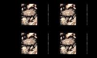 Music for azathoth (12 flutes 8 drums)