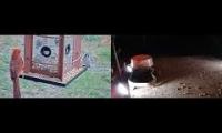 birdfeederbirdnestinglivestream