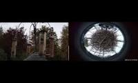 birdfeederbirdnestinglivestream