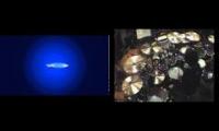 Kerkyraaaaa666-portnoy
