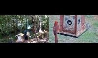 birdfeederbirdnestinglivestream