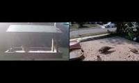 birdfeederbirdnestinglivestream