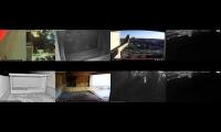 Thumbnail of birdfeederbirdnestinglivestream