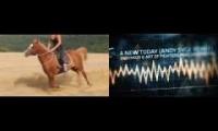 HorseChampionCelebration