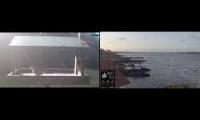birdfeederbirdnestinglivestream