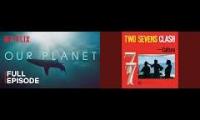 Netflix and Reggae test