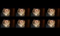 The wise man short story with music Worrying will not solve your problems