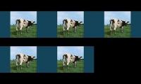 Atom Heart Mother but all at once