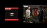 avgn vs critic + swans