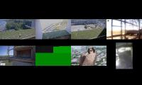 beautifulearthanimalslivestream