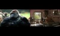 Imagine Gorillas meow meow