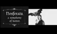 Nosferatu & The Bat ~ Symbolic Of Bats On Halloween Night