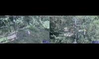 Thumbnail of Beautifulearthanimalslivestream