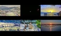 Beautifulearthanimalslivestream