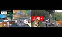 Beautifulearthanimalslivestream