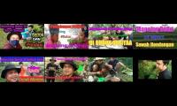 mancing belut,mancing belut, mancing belut, mancing belut, mancing belut, mancving belut, mancing be
