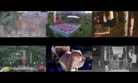 Thumbnail of Amazinganimalslivestream
