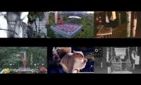Thumbnail of Amazinganimalslivestream