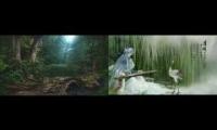 Relaxingmusicchinesesoubds