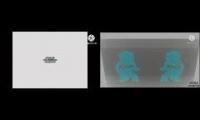 Thumbnail of 2 Noggin And Nick Jr Logo Collections V824