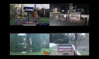 Amazingearthanimalslivestream