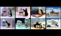 pingu once 8 videos episodes