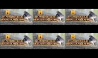 Thumbnail of Tonton video bersamaan