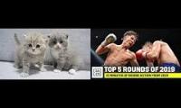Cat Boxing MatchMadeByShuangLou