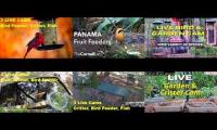 Thumbnail of Amazingearthanimalslivestream
