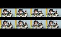 Dentastix ad but is 8 times