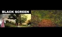 Thumbnail of Rain in fairy forest
