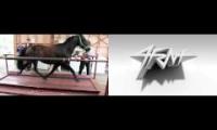 Horse on treadmill and the song