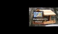 Amazingearthanimalslivestream