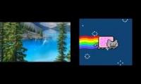 Put Your Ass Up in the Air (nyan cat for kitty)