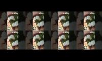 Thumbnail of Watch hours increase