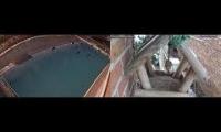 Amazingearthanimalslivestream