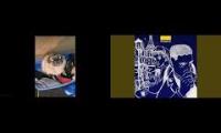 Kidd - Buongiorno pug