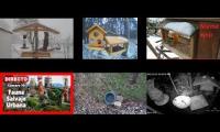 Thumbnail of Amazingearthanimalslivestream