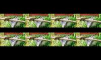 Cara Memikat Burung Suling/Remetuk Laut