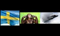 /wtg/ 12/23/21, Saab chimpout, quite funny