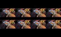 Nature 8k video hd video