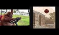 Thumbnail of aaaaaaaaaaaaaaaaaaaaaaaaaaaaaaa